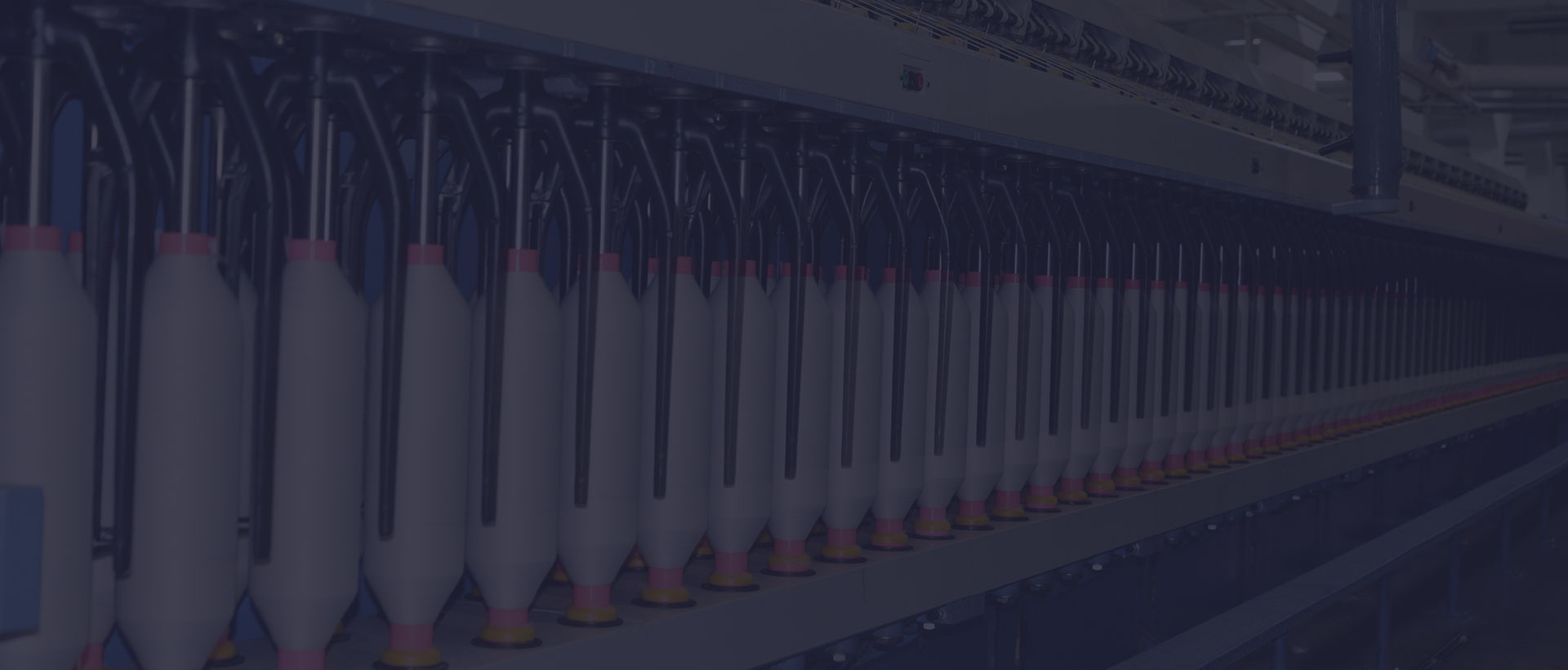 Informazioni su Innovase